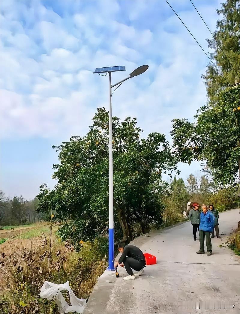 我们村西头那条路，打我记事起就黑黢黢的。尤其到了秋冬，天擦黑就得赶紧往家赶，路边