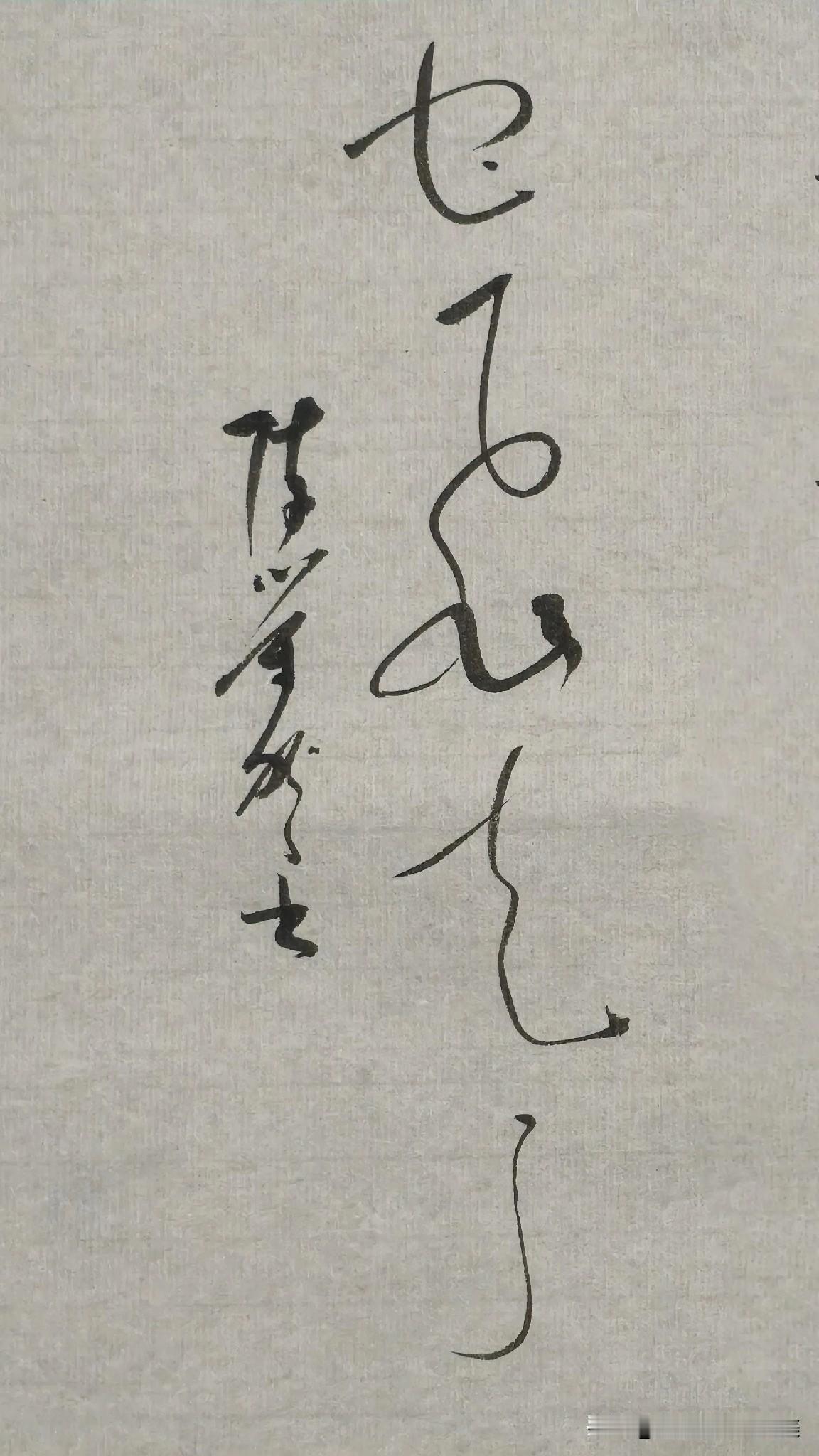 草书精品展示：它飞走了