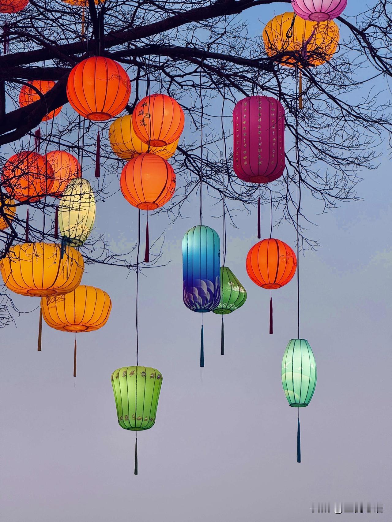 在杭州拍到了辛弃疾笔下的花灯
2025最后一天，
被西溪湿地的花灯迷了眼。

红