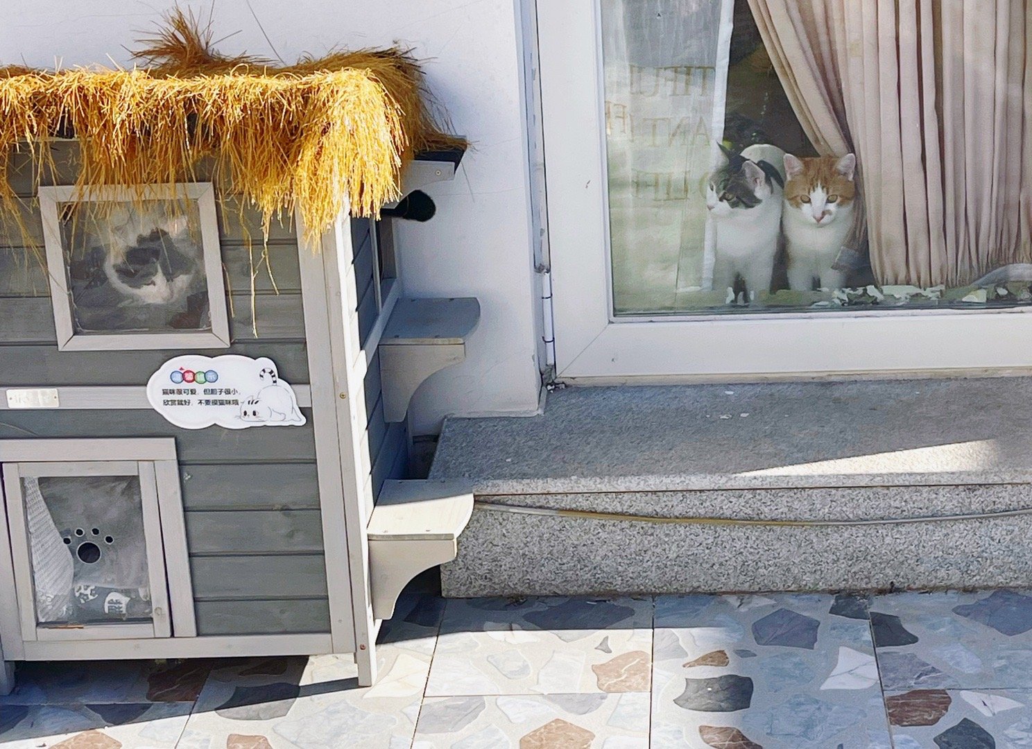 明天预报北京某些区域有暴雪，希望我的猫咪能够在我给他们准备的窝里暖暖和和的。 