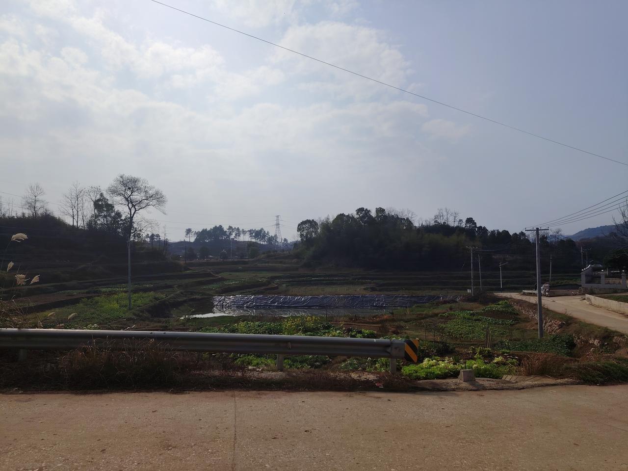 都市繁华万古流
不及故乡千年秋
今朝有酒今朝醉
举杯欢后即时归