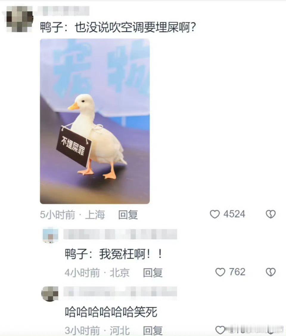 上海的泊狗位竟然已经有空调了压根没想到竟然说这么超前，宠物也能接受高待遇[污]真