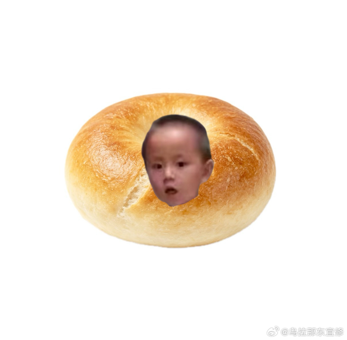 东东吃的哪一种小面包呢 