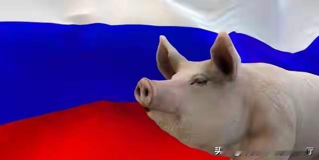 可能莫言当时也没想到，自己当年一直为底层百姓发声的作品最近几年竟然招来一些如毛星