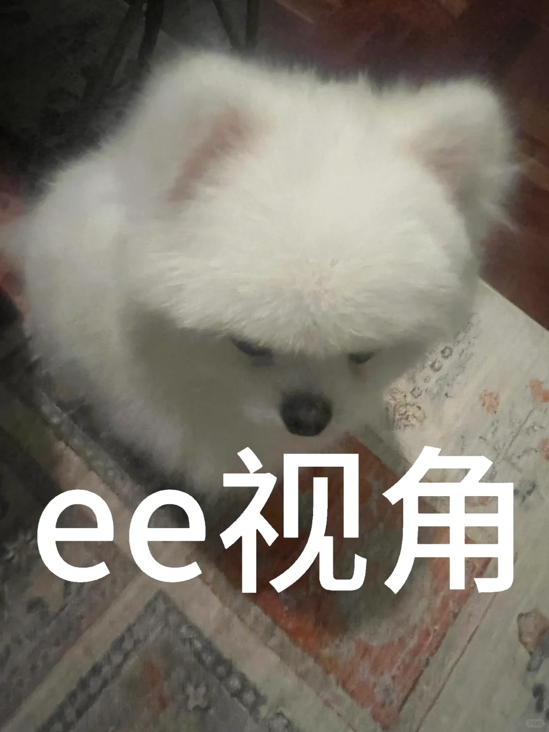 高个ee看我原来是这样的