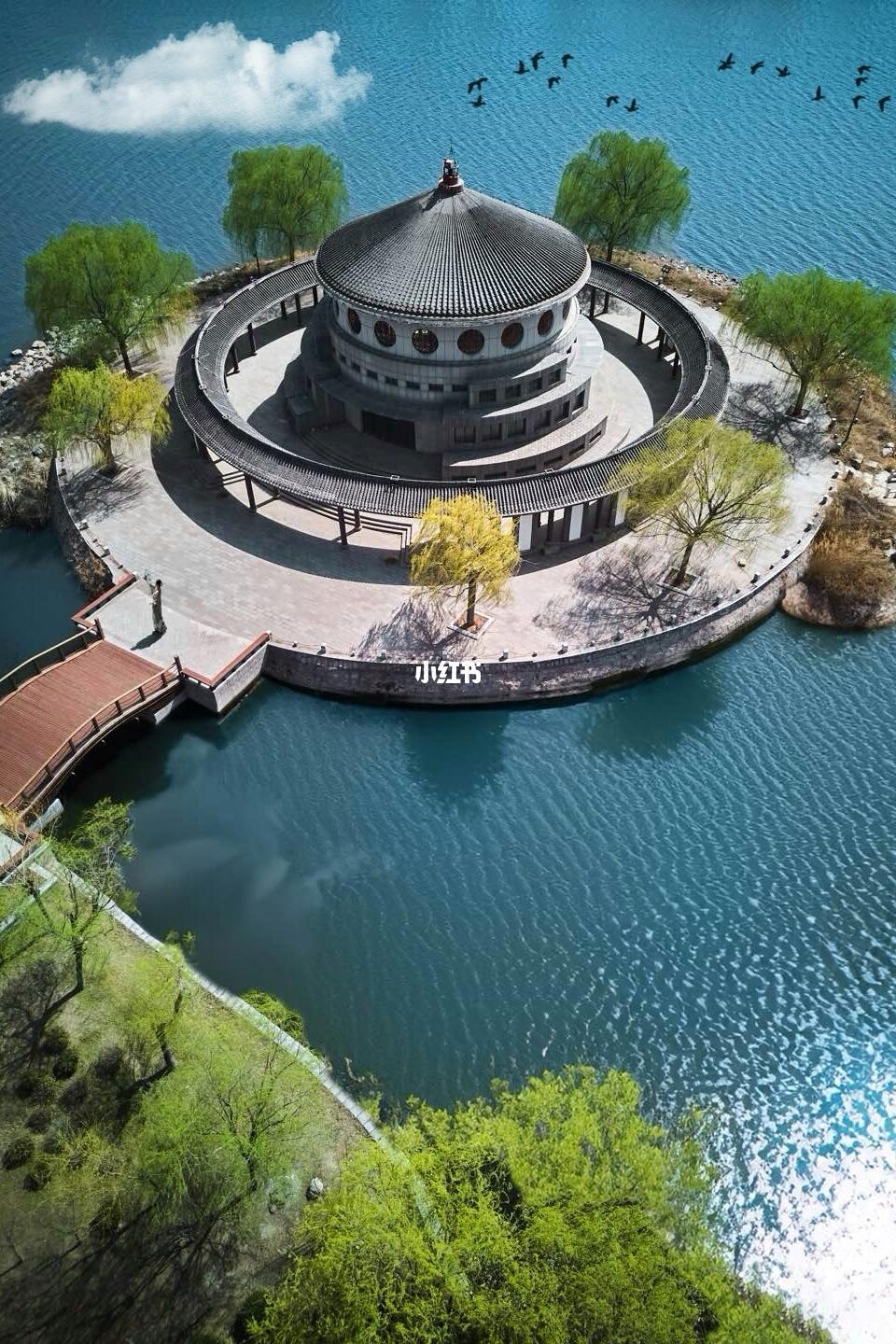 谁说山东没有春天❗️东营2日赏花踏青🍃路线