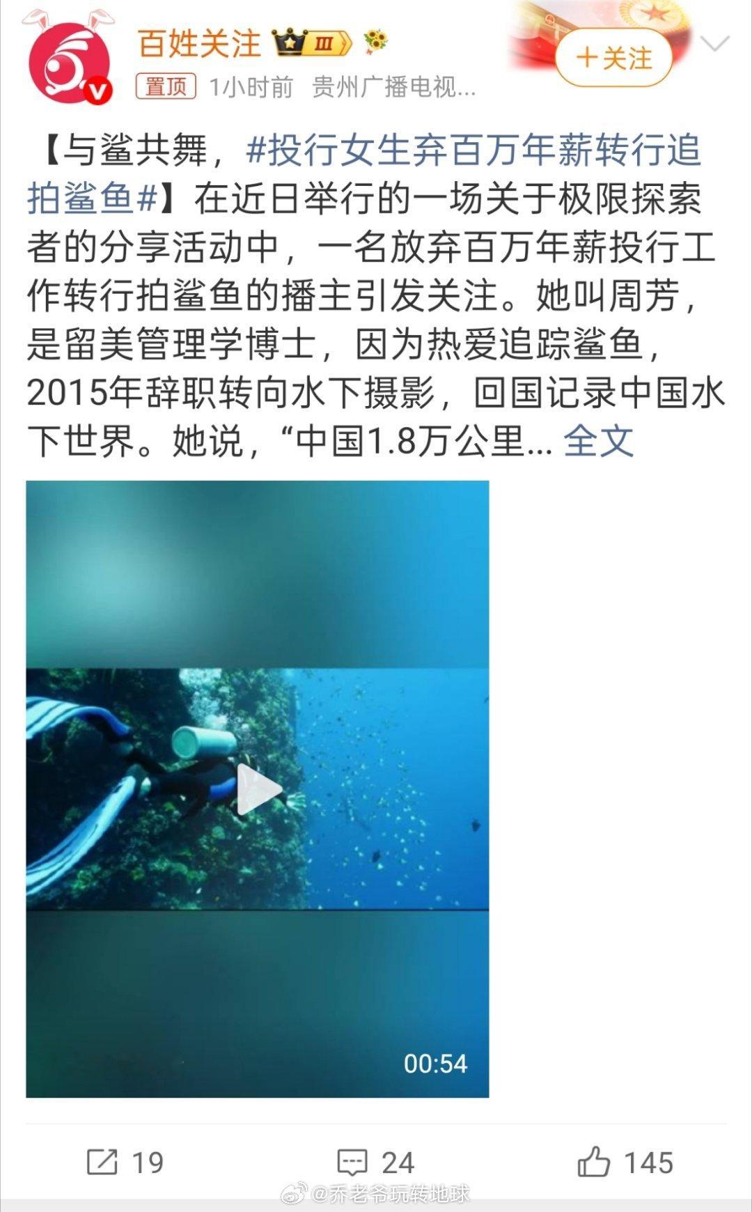 投行女博士，说不干就不干了，跑去拍鲨鱼。她说的那句“不是放弃了什么，是得到了什么
