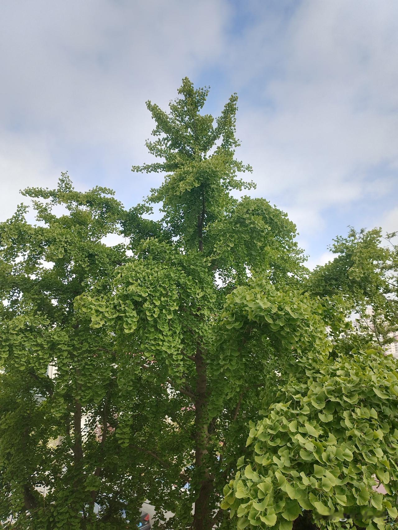 我认为会，一命二运三风水，四积阴德五读书，名虽然不在前五，但一样暗藏玄机，影响运