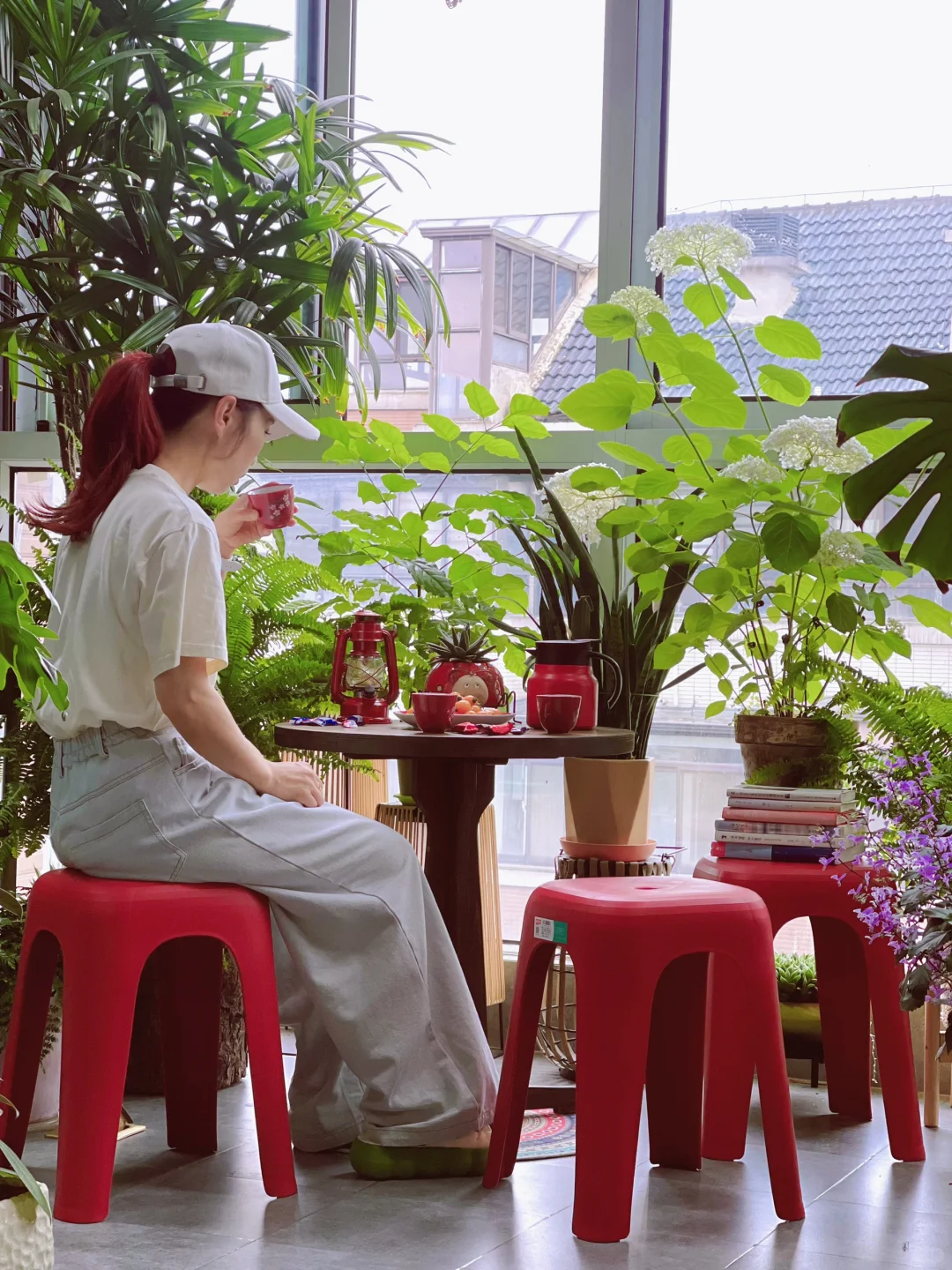 好物分享｜今天我的阳台小森林是彩色的
