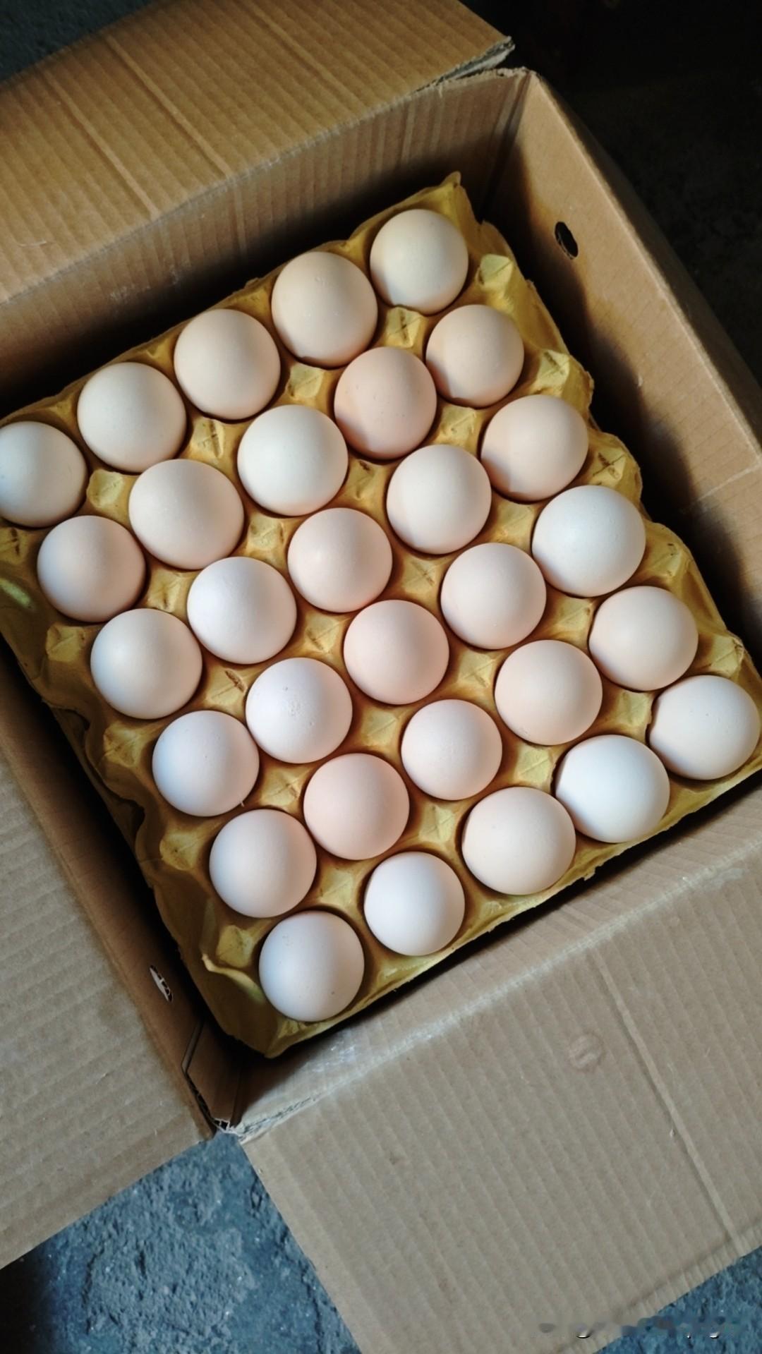 这个是不是真正的柴鸡蛋？