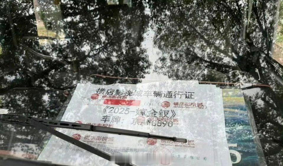 田曦薇 闫桉《嫁金钗》车辆通行证已经有了 