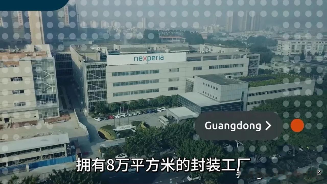安世中国突然放大招！直接官宣脱离荷兰管控，从今往后自己说了算！这份硬气，可不是嘴