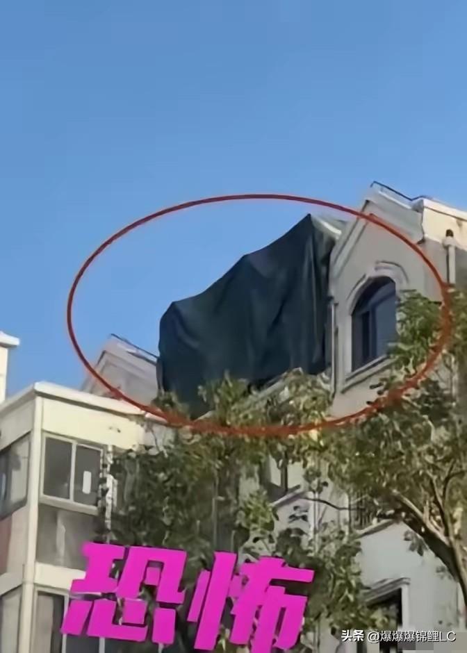 上海这事儿真的越看越让人心惊肉跳，你说这邱先生图个啥？

他就是瞅见小区23号楼