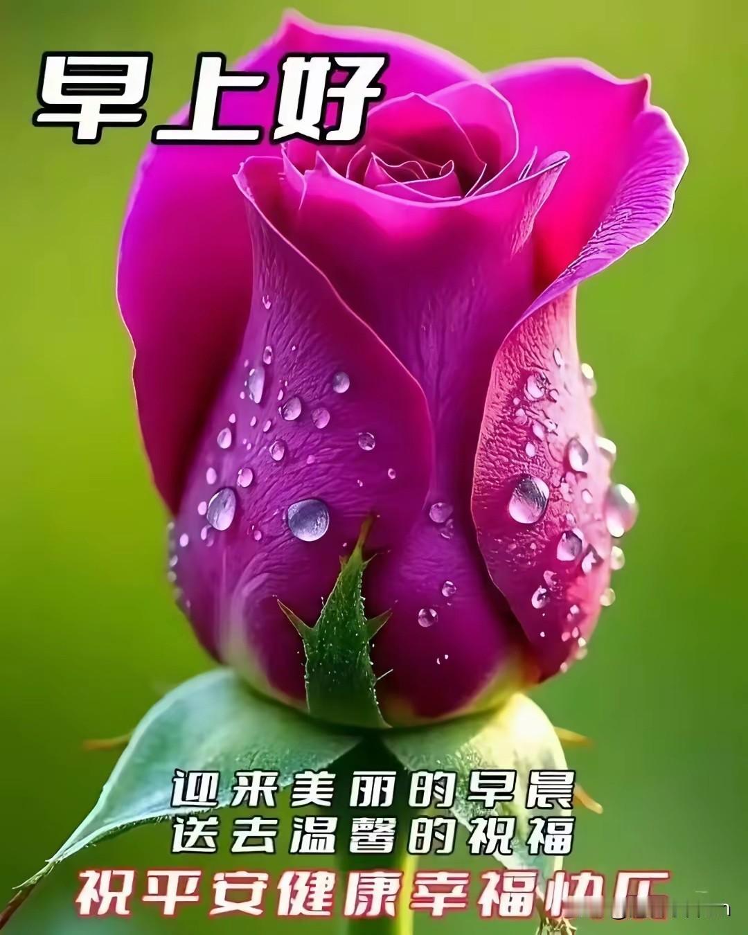 人生有缘
天涯相连
不管远近
快乐心田
诚心问候
彼此皆欢

永远彼此真诚 早安