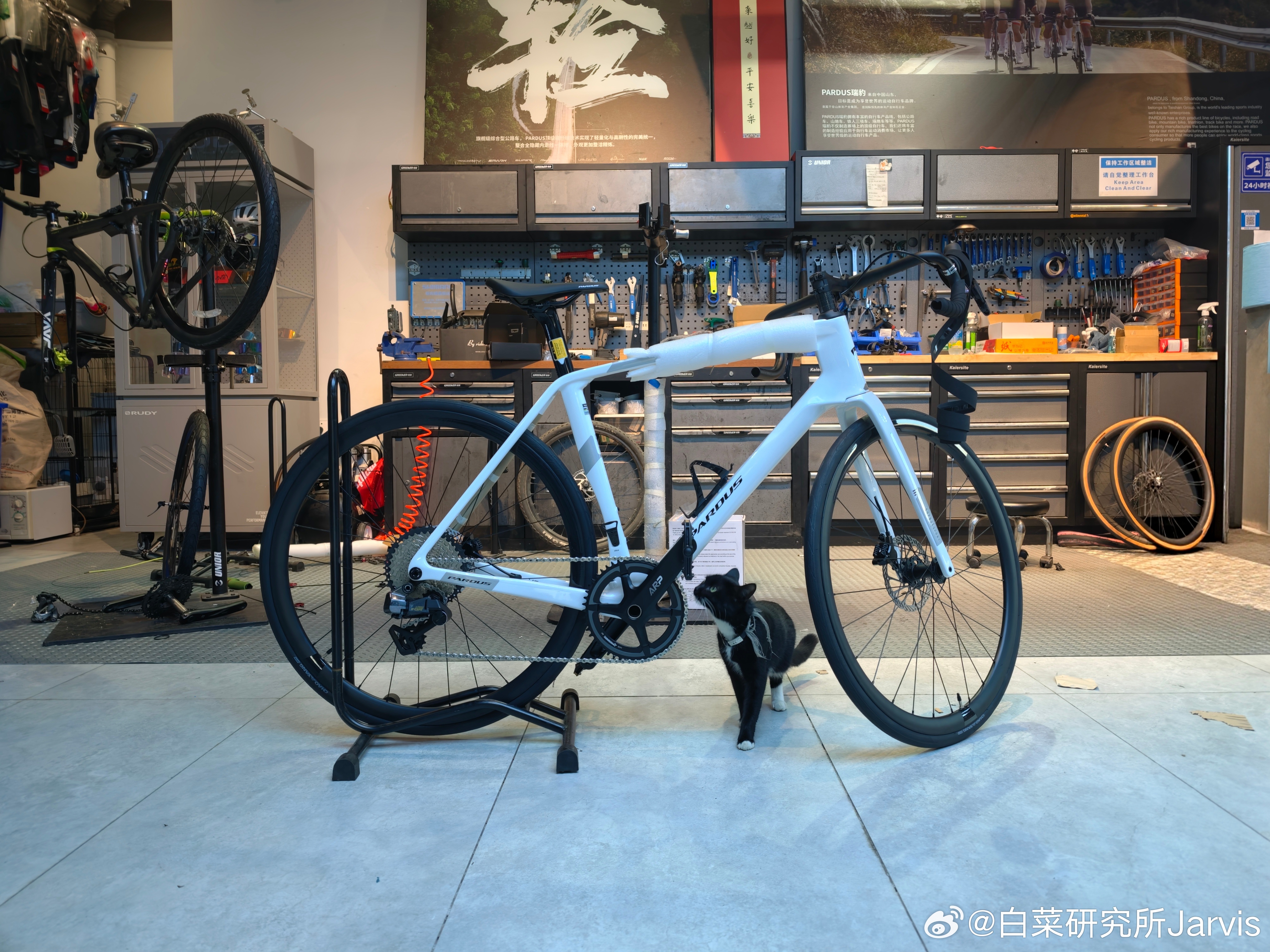 提了辆豹子，不过是自行车[笑cry]公路车[超话] ​​​