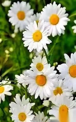 人累死之前，心早就死了。
我那堂哥，去给30多亩地打农药，结果，把喷头对准了自己