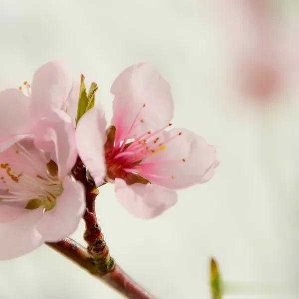 #讲中国诗词文化#诗词其实就是我们日常的生活，衣食住行，花草鱼虫，山水云海，日月