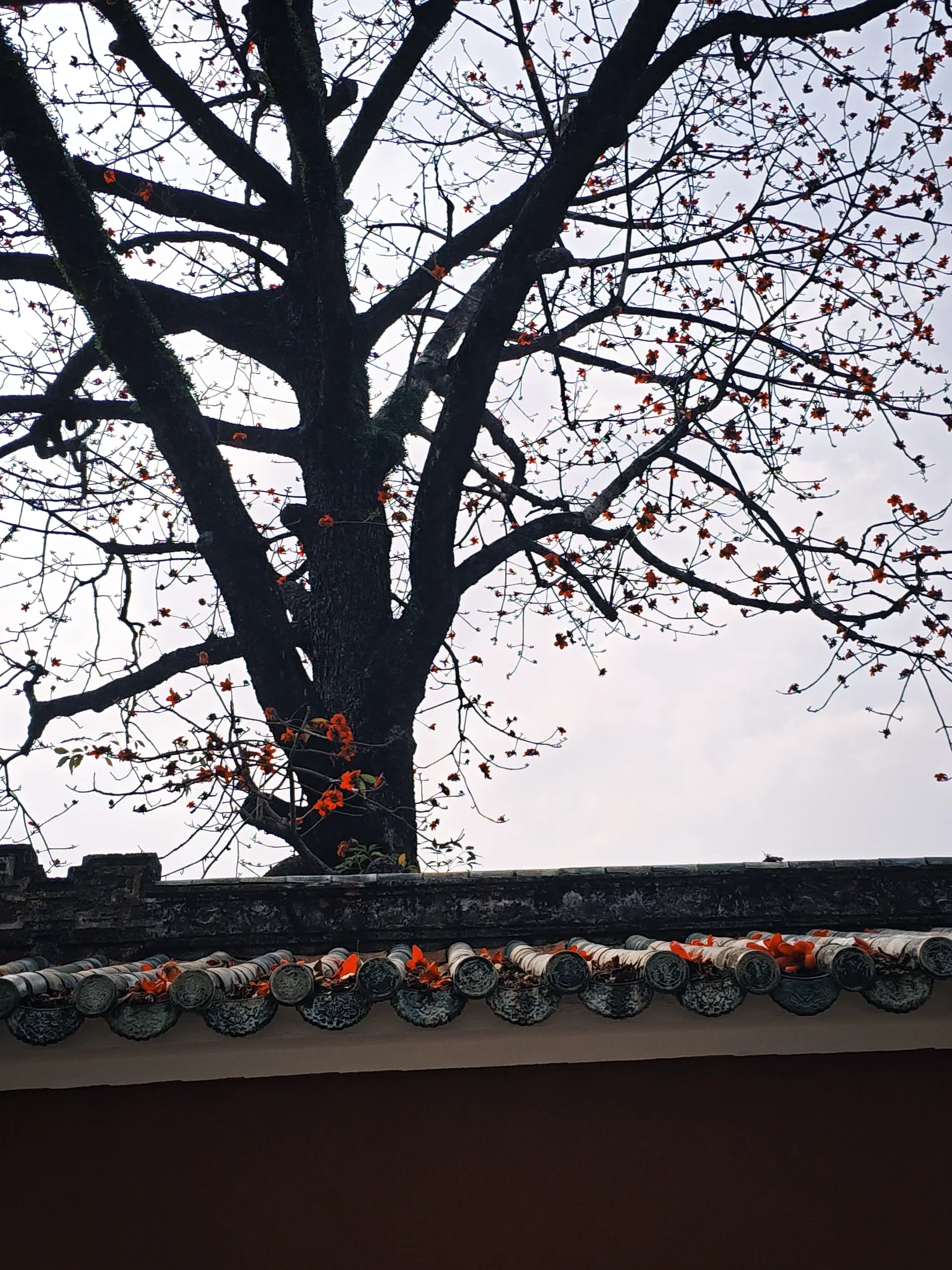 请赐予我像迪丽热巴一样迎难而上的勇气