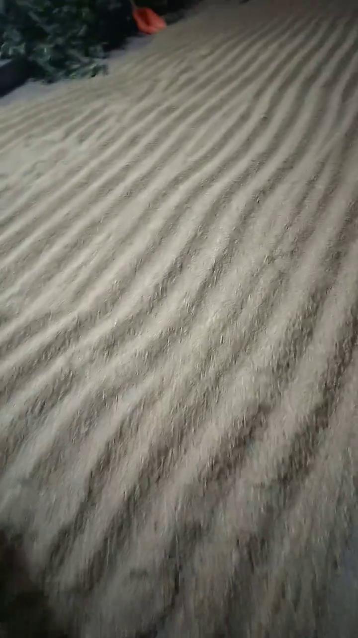 河北的麦子开始收了。