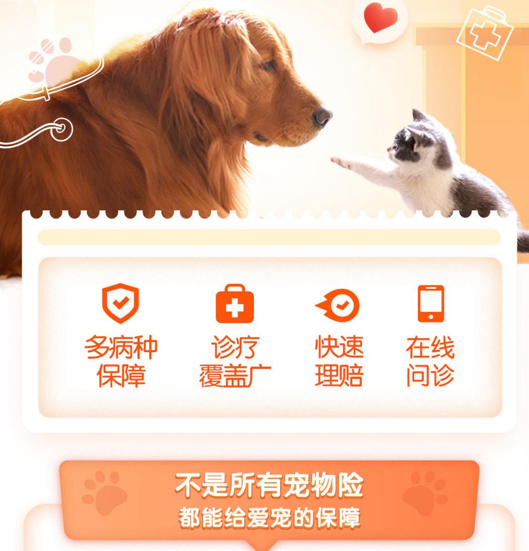 社会变革真是太快了。
银行卖房子早已不是新闻，给宠物上保险那才叫一个绝。
昨天我