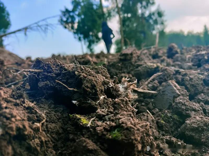 在我们脚下的这片土地，几千年的文化里始终深藏着一个执念——有钱就要买地。

为什