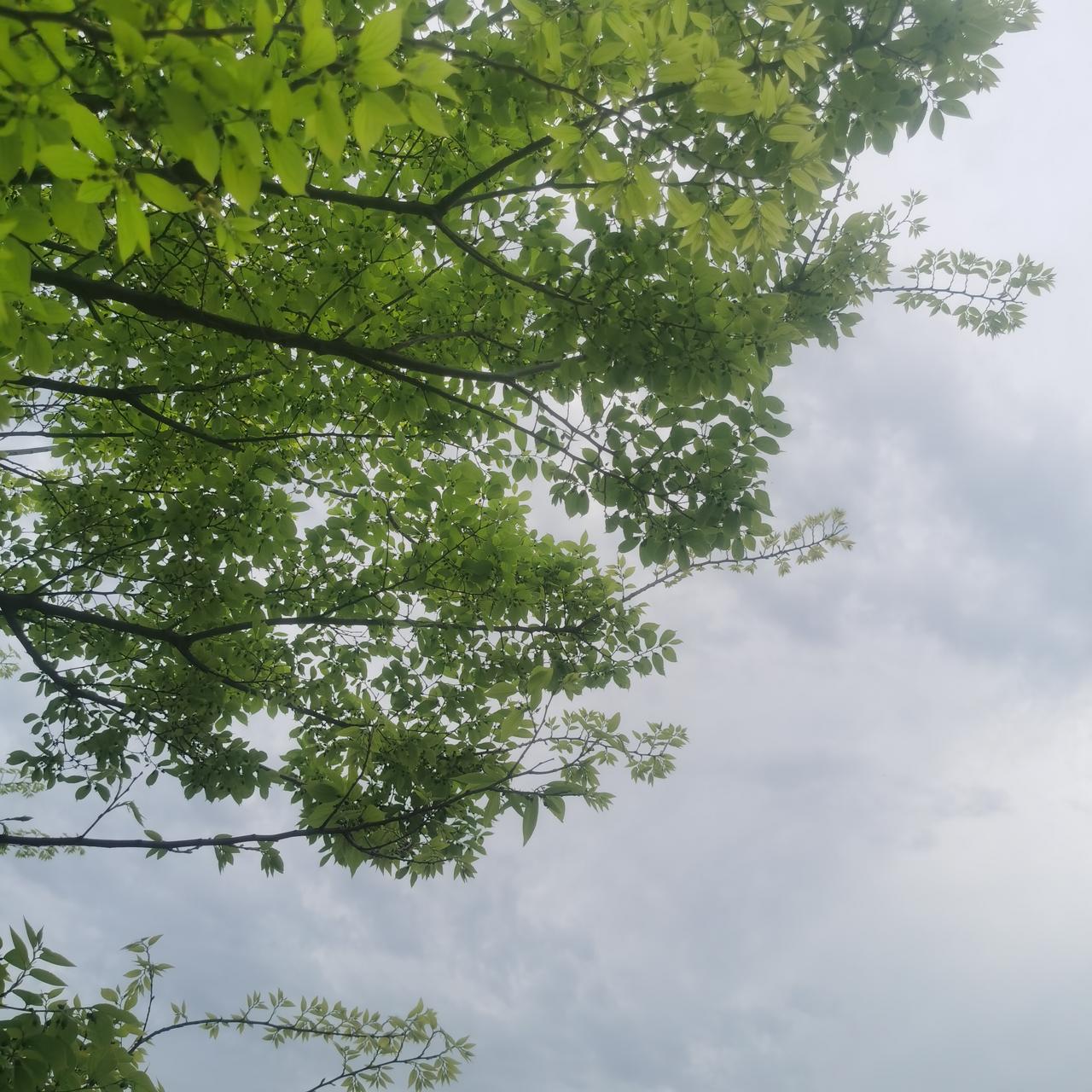 她是怎样的人呢？我曾那样拒绝她，隔段时间，她还友好与我联系。

昨天看到一被推荐