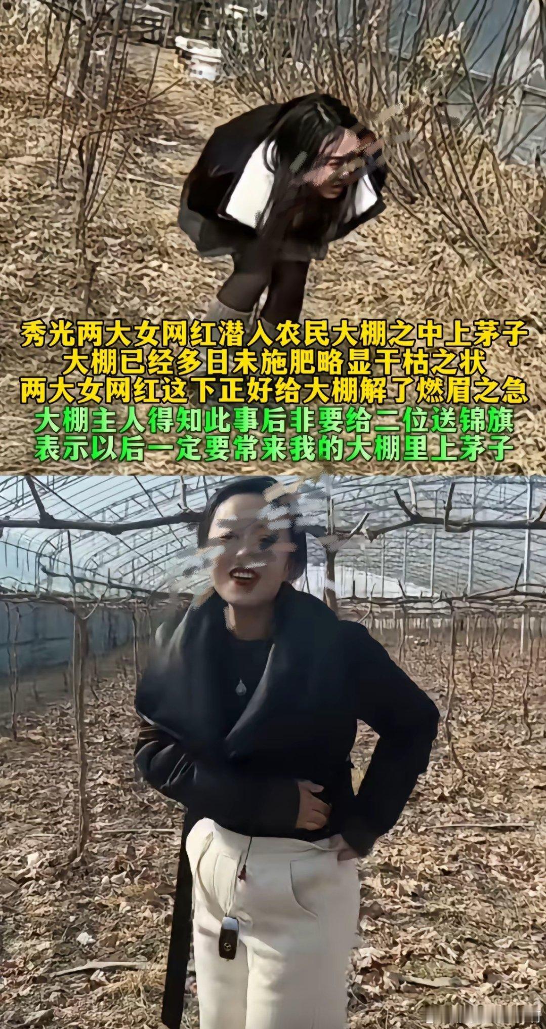 这两位女网红心真的是好啊，她们既解决了三急，也解决了大棚的燃眉之急 