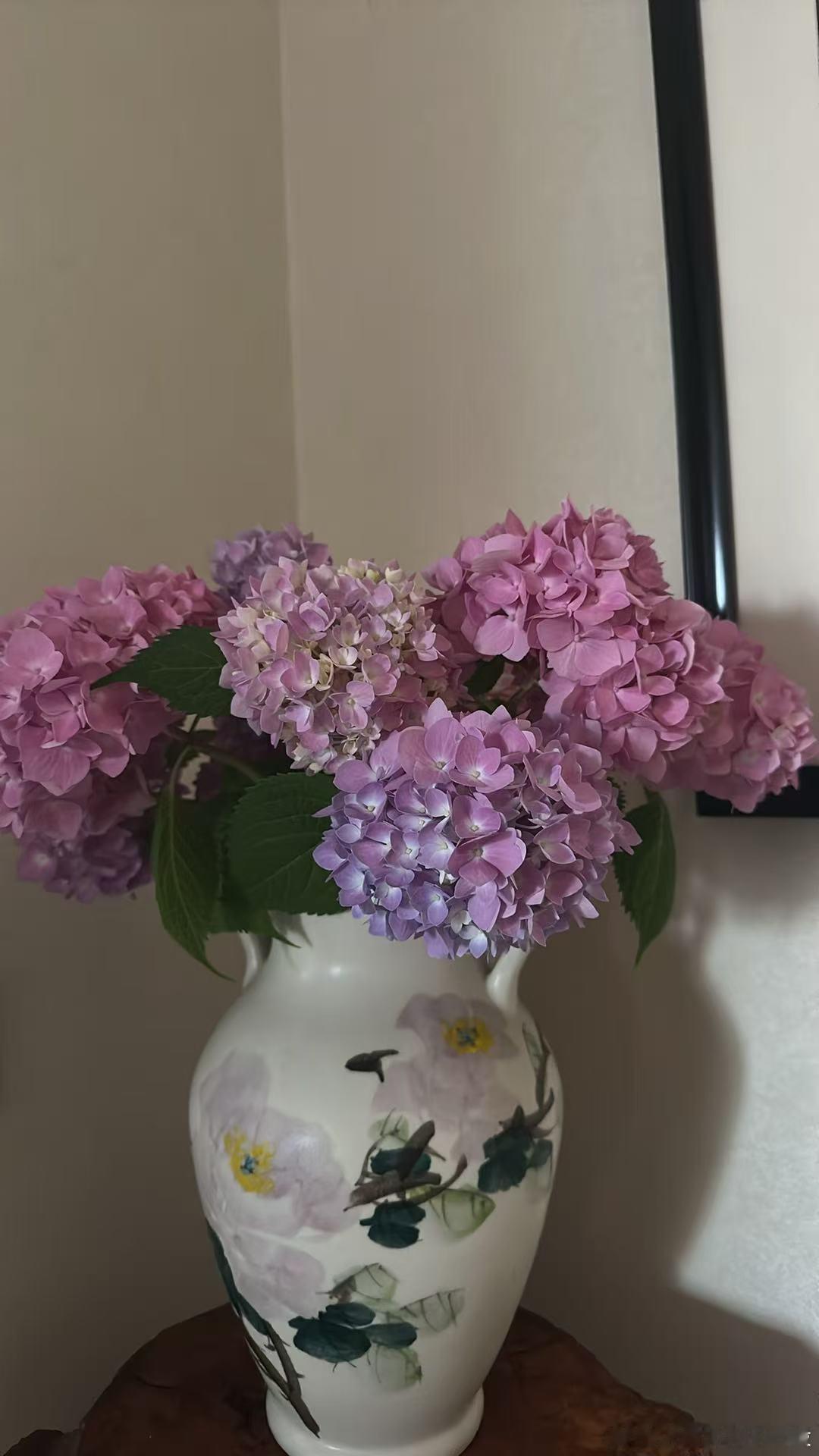 和我妈弄的花比 我还是输了…. 