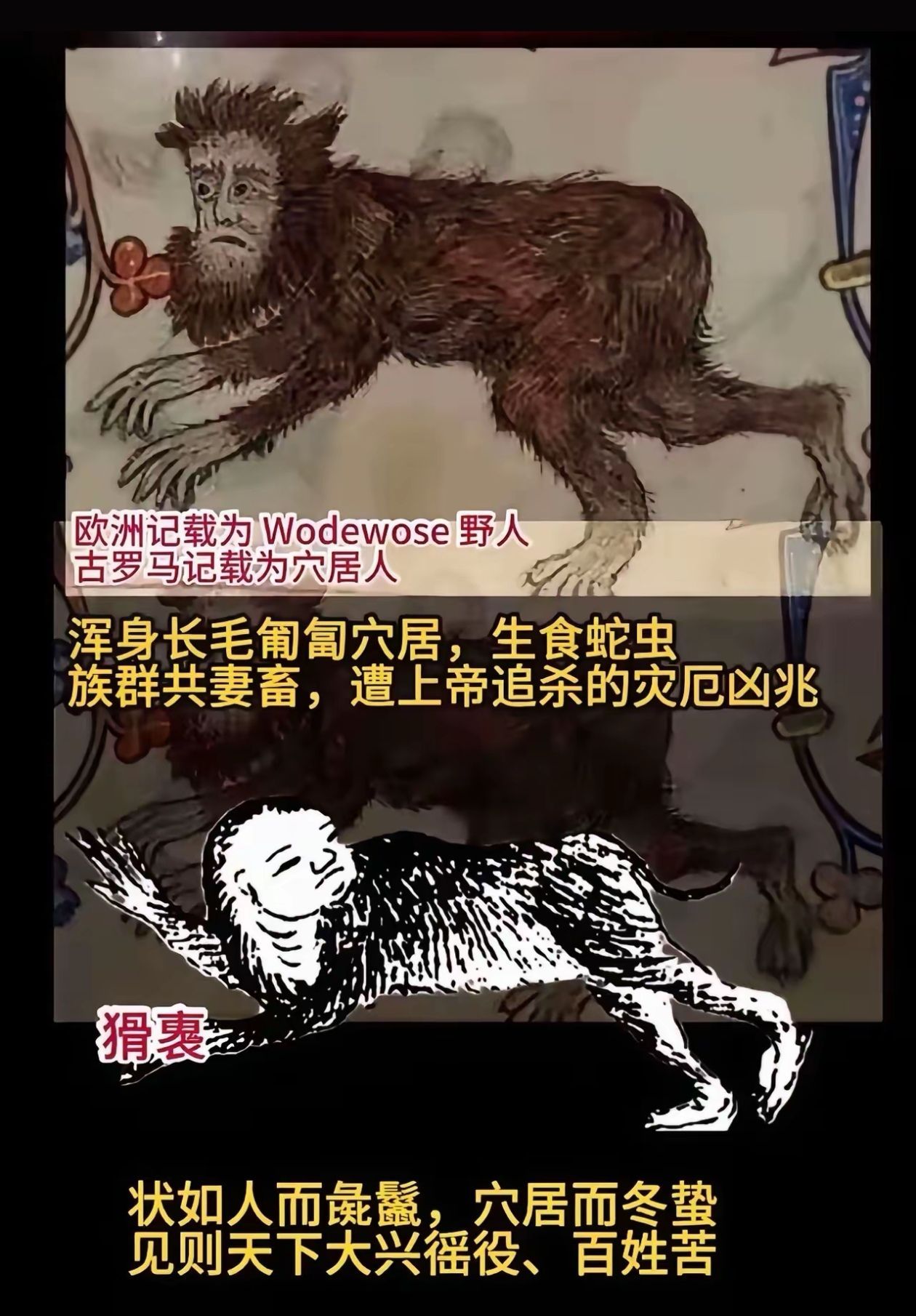 第一张图吓我一跳，泰迪眼神好吓人。山海经