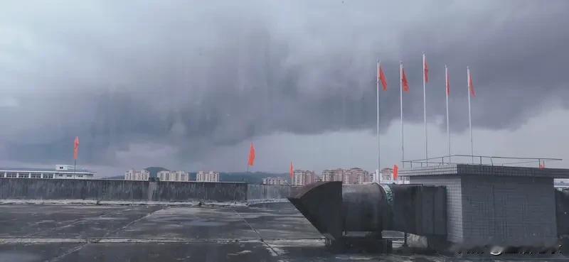 如果你的明媚灿烂
让你走进了一场又一场
猝不及防的风雨
那么别怀疑自己
别怀疑自