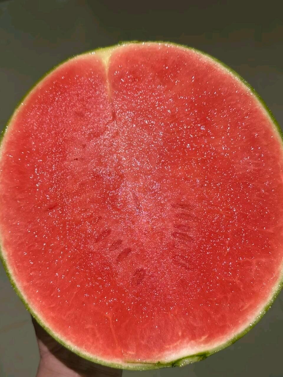 祝我们夏天都会买到这样的西瓜🍉 