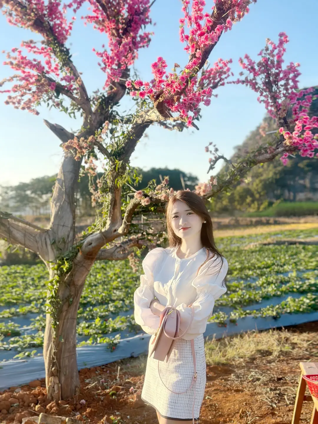 人间水蜜桃 笑容最治愈的女孩 花花世界迷人眼 在风里遇见你 一年四季都很美