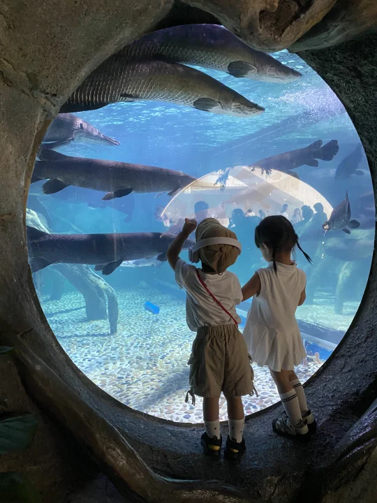 我们都在养一个小时候的自己