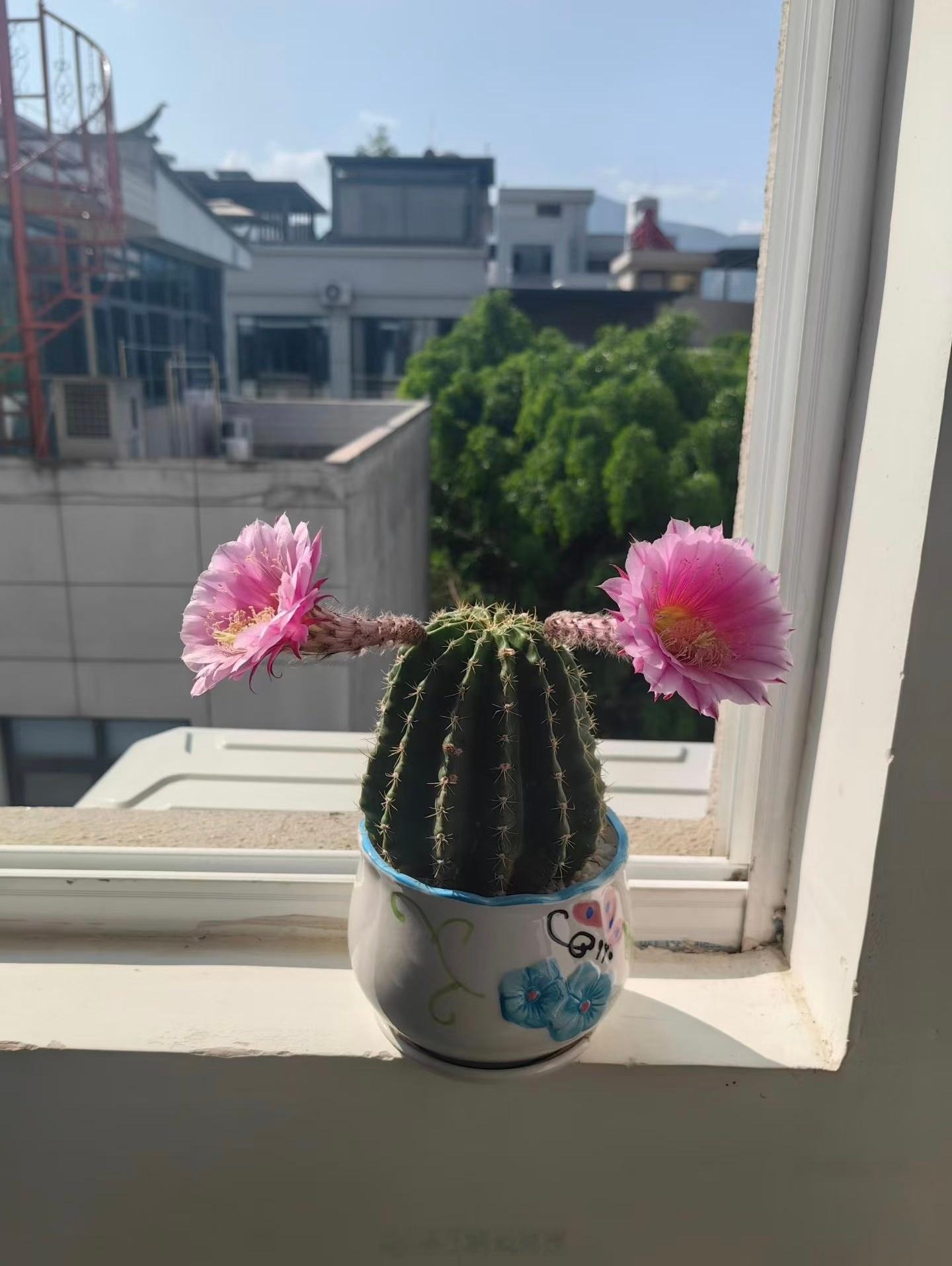 长着两个小揪揪，生怕我不知道你是个女孩子呀