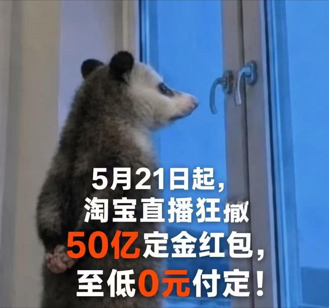 在杭州拼的就是谁更有冲劲在杭州，敢拼是底色，会省是智慧。5月21日起，淘宝直播狂