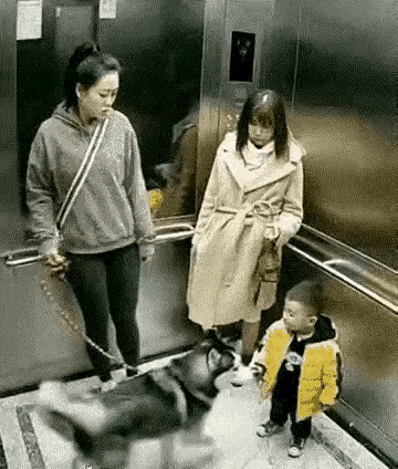 此时此景，你想对牵狗的女人说点或者做点什么呢？