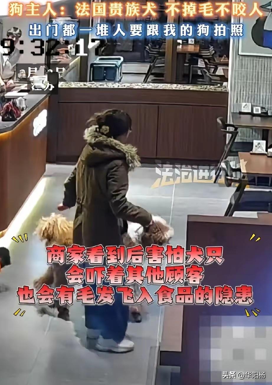 狗主自己可以爱狗，不该强迫别人也爱狗。

3月12日，江苏一女子带两狗进餐厅被拒