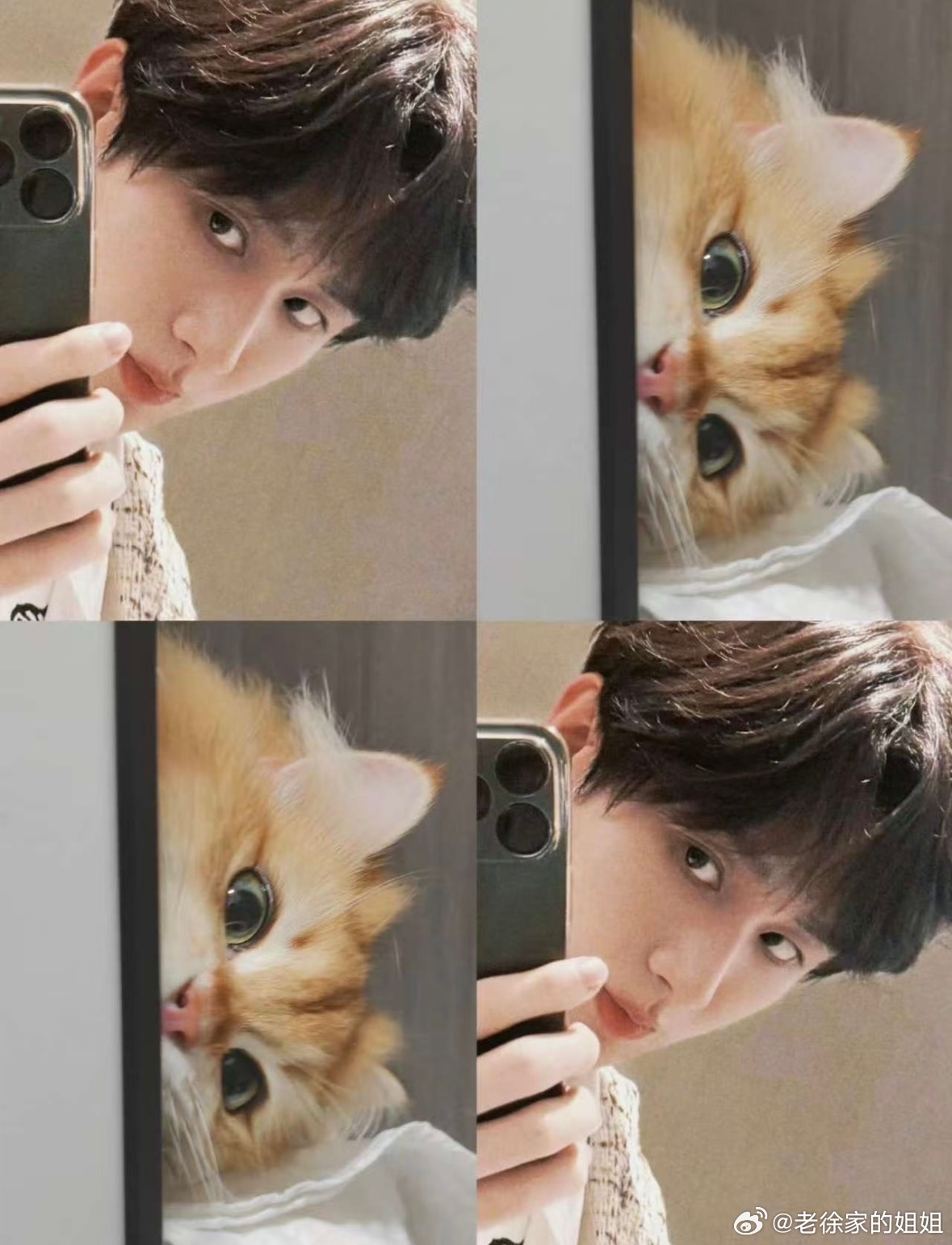 成毅  咪，泥嚎～ 人，想咪了～