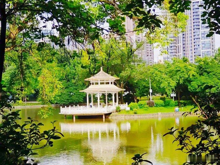 广州天河公园成软实力名片 让“中国游戏第一街”数万程序员念念不忘的“摸鱼圣地”，