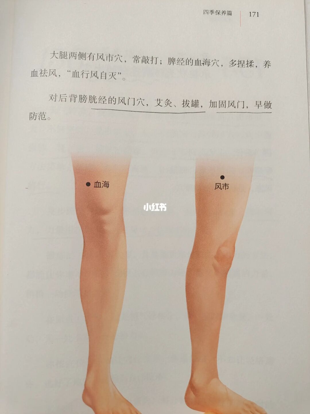 黄帝内经——秋天养肺，养好肺，护鼻子🔥
