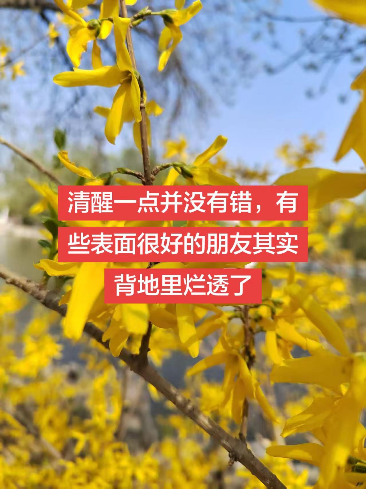 清醒一点并没有错。背后的故事