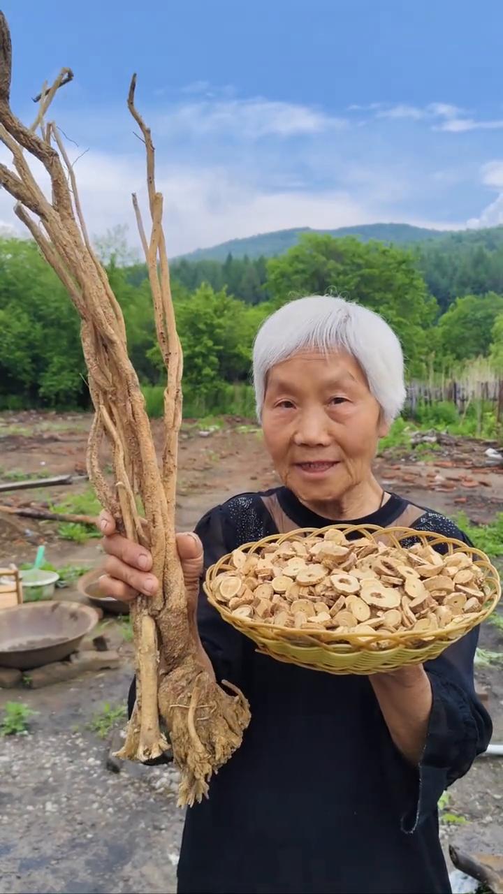 黑龙江原始大森林，寒带纯野生的黄芪。
我家是小兴安岭的主脉，原始大森林。这是我们