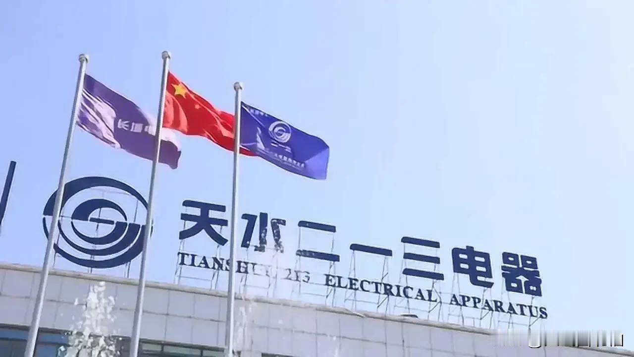 保留在天水的三线企业名单：

电气类：
天水二一三电器
天水长城开关厂
天水电传