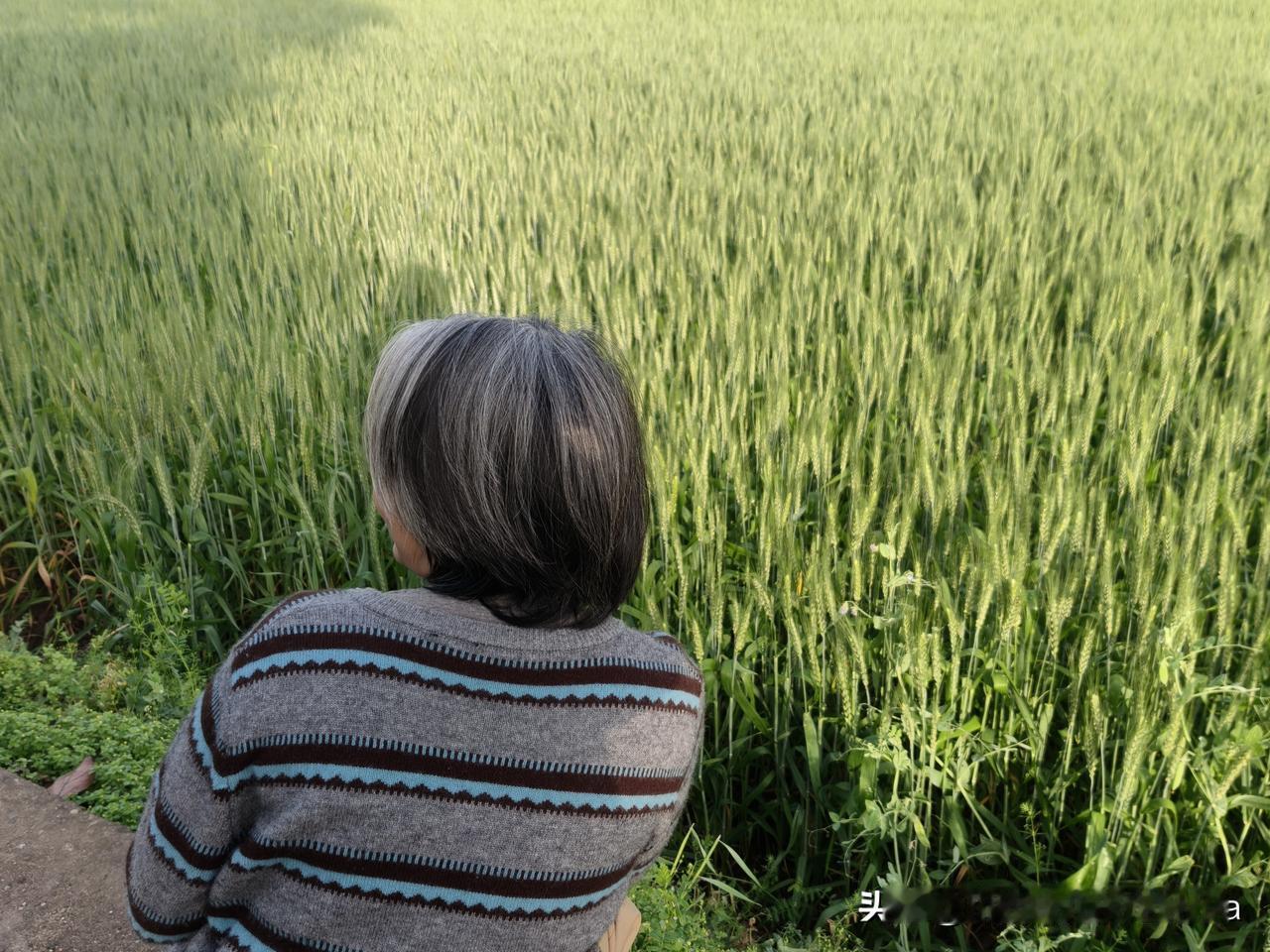 今天我的连载《糟糠之妻》要断更了，朋友们早点休息。

今天跑了好多地方，先去娘家