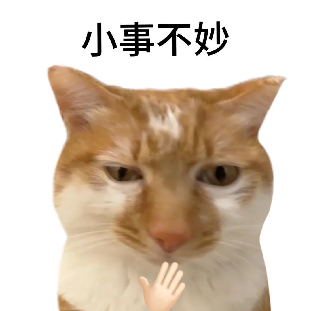 橘子夜聊 审咪积累，每天就这样小小的