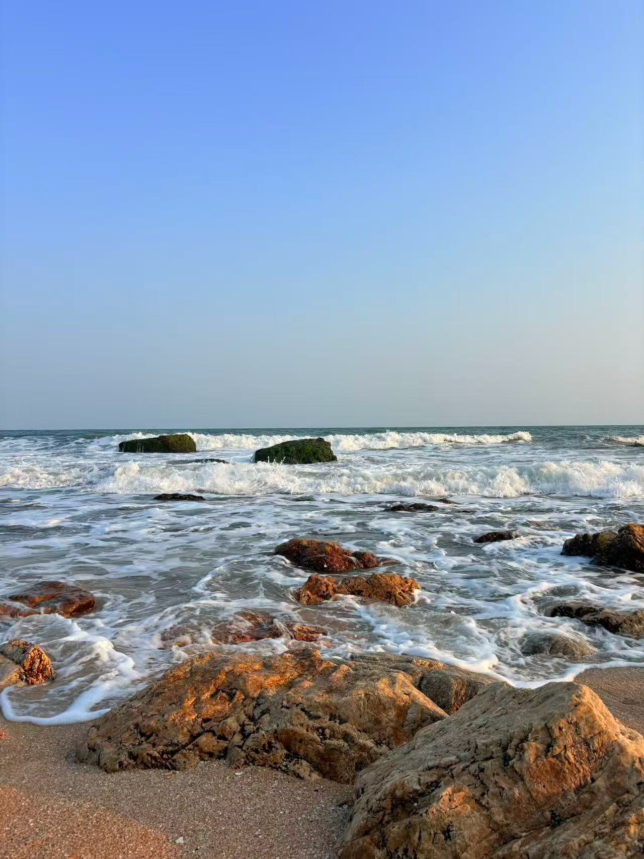 流浪小狗的日常碎片[超话] 晚安啦宝宝们记得来打卡哦 ​​​