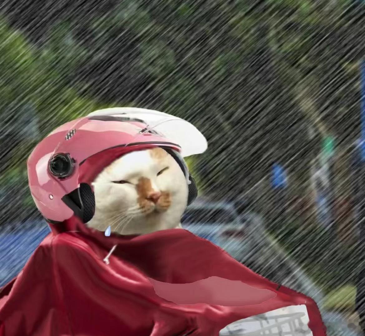 深圳暴雨 小助理这段时间be like