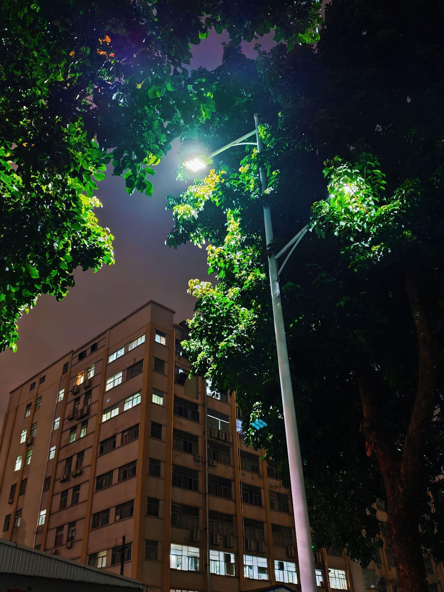 随手拍心烦意乱的时候，轻轻对自己说，生活本来就是这样，休息一下，别忘了明天还有阳