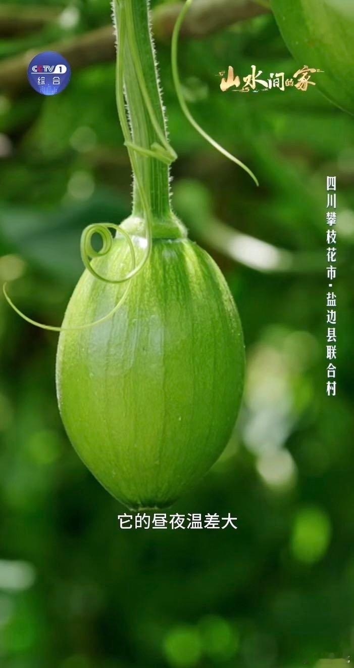 当中国乡村美成了封面中国乡村藏着巨型3D课本雨后在村口的小桥上走，发现桥下石头上