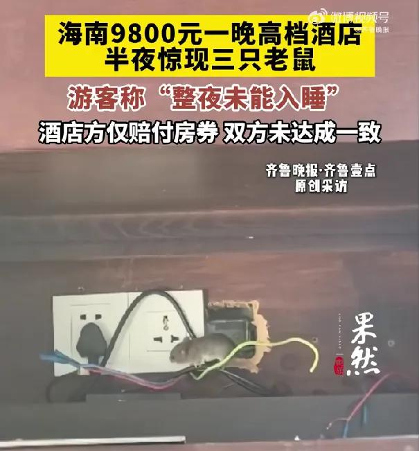花近万住酒店却遇鼠患，这到底是度假还是渡劫？
 
3月18日，海南陵水爆出一条离